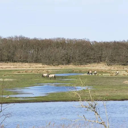 Ferienhaus Luxus-Ostseeferienhaus Hochmoor