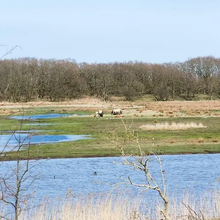 Luxus-Ostseeferienhaus Hochmoor Ferienhaus Nieby (Nieby, Schleswig-Flensburg)