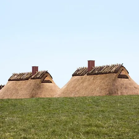 Ferienhaus Luxus-Ostseeferienhaus Hochmoor *